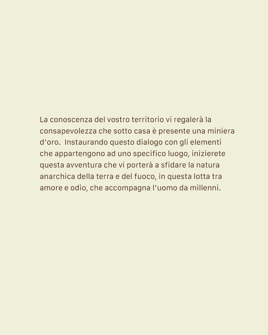 WORKSHOP ASH GLAZE & MORE by Anna Esposito 4-5.07.2026