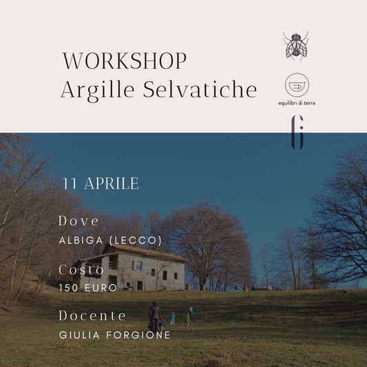 WORKSHOP ARGILLE SELVATICHE by Giulia Forgione 11.04.2026