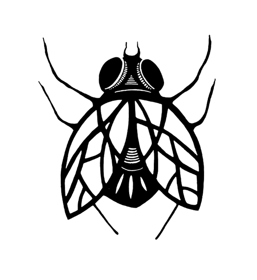 lamoscastudio