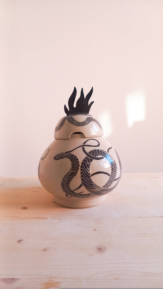 Serpenti e fiamme